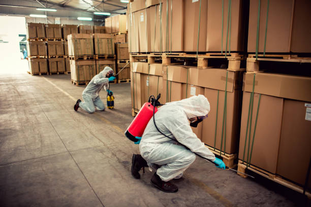 Best Pest Inspection Near Me  in Rushford, MN
