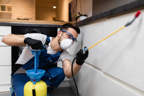 Best Flea Control Services  in Rushford, MN