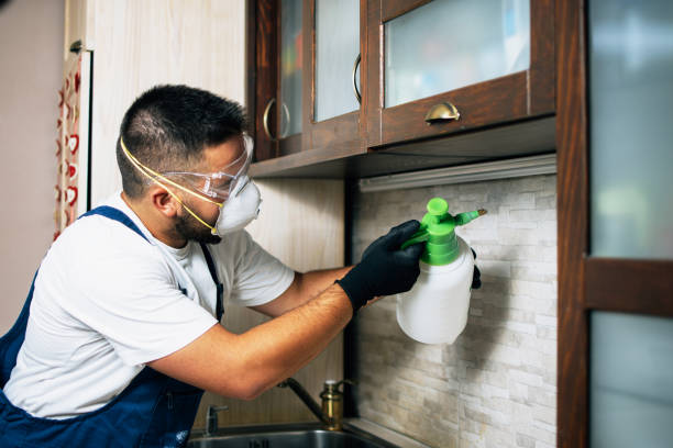 Flea Control Services in Rushford, MN