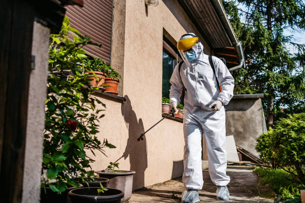 Best Best Pest Control Companies  in Rushford, MN