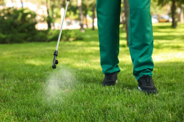 Best Best Pest Control Companies  in Rushford, MN