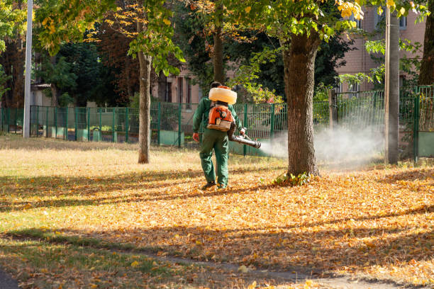 Best Exterminator Services  in Rushford, MN