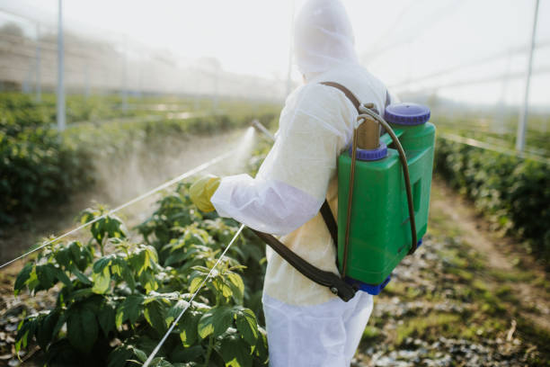Best Best Pest Control Companies  in Rushford, MN